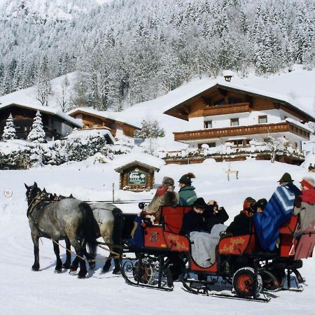 Ferienhaus Rosi Sankt Martin am Tennengebirge Ngoại thất bức ảnh